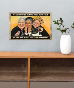 old ladies we used to be young and beautiful now we are just beautiful vintage poster 4