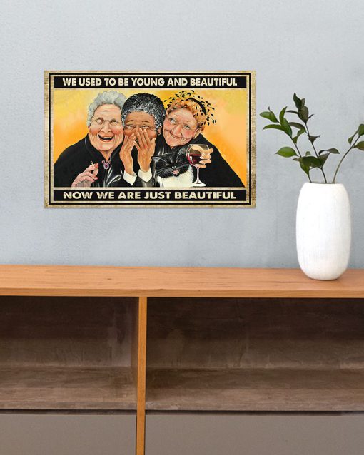 old ladies we used to be young and beautiful now we are just beautiful vintage poster 4