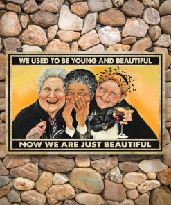 old ladies we used to be young and beautiful now we are just beautiful vintage poster 5