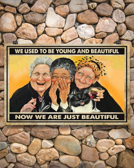 old ladies we used to be young and beautiful now we are just beautiful vintage poster 5