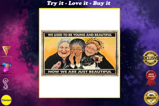 old ladies we used to be young and beautiful now we are just beautiful vintage poster