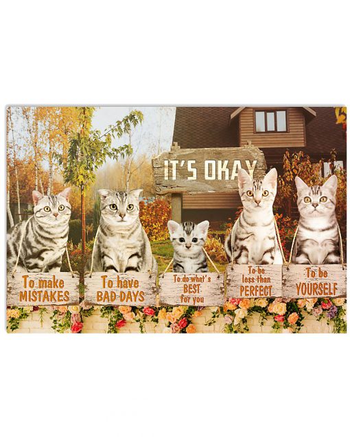 american cat its okay to make mistakes to have bad days to be yourself poster 2