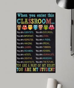 owl when you enter this classroom you are my student poster 4