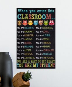 owl when you enter this classroom you are my student poster 5