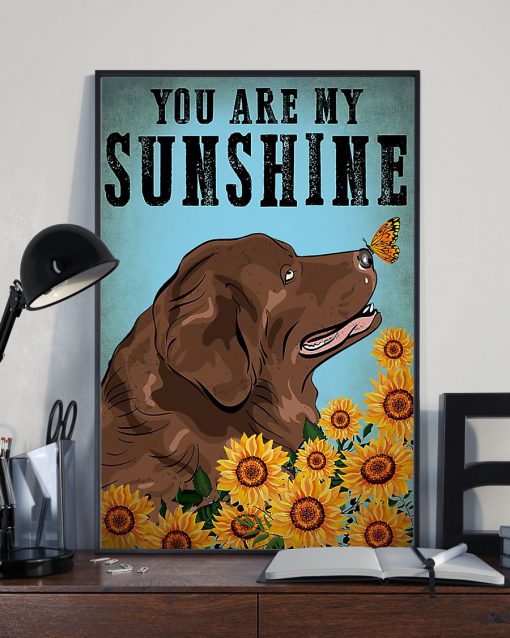 vintage newfoundland dog you are my sunshine poster 3