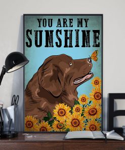 vintage newfoundland dog you are my sunshine poster 4