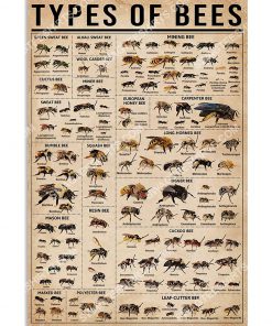 types of bee knowledge vintage poster 1(1)