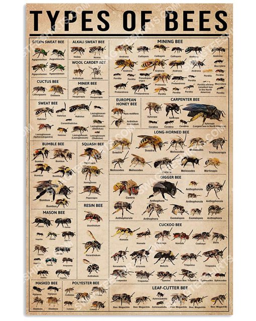 types of bee knowledge vintage poster 1(1)