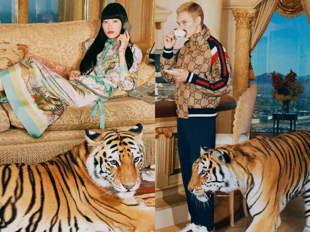 Designer alessandro michele refreshes motifs from the 60s for the gucci tiger collection to celebrate the tiger new year 2022